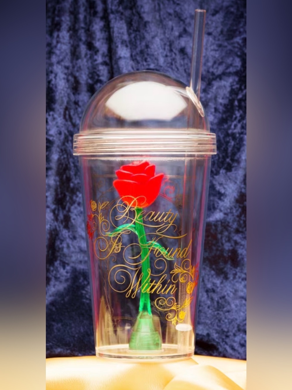 NWT Zak Designs Beauty And The Beast Kid's Tumbler, 22 oz 🌹